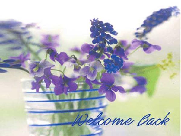 send-free-ecard-welcome-back-from-greetings101