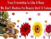 True Friendship Is Like A Rose