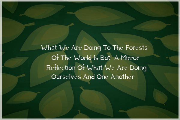 A mirror reflection
